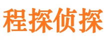 广东市调查公司